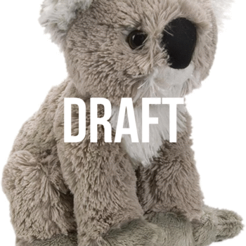 Wild Plush Koala