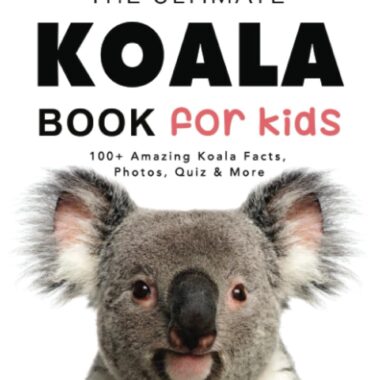 Learning Kids